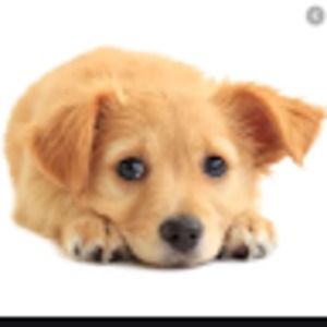 Meet your Posher, Anna-jeanne